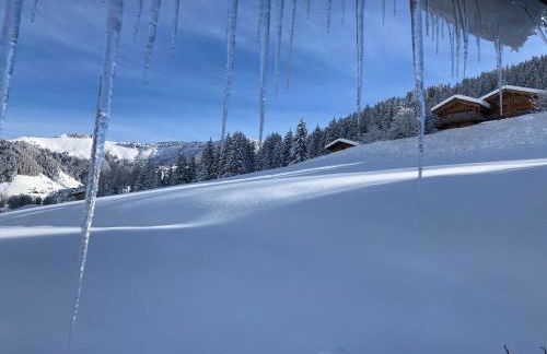 Chalets Savoie Les chalets d'Heidi - Photo 11