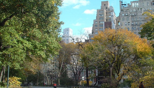 Alquiler de bicicletas en Central Park - Foto 4