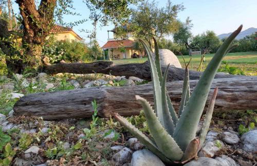 Phyllida Guest House - A1 - Foto 20