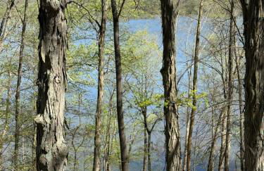 Lakeside Cabin - Serene Retreat with Lake Monroe Views and Wraparound Deck in Brown County - Foto 37