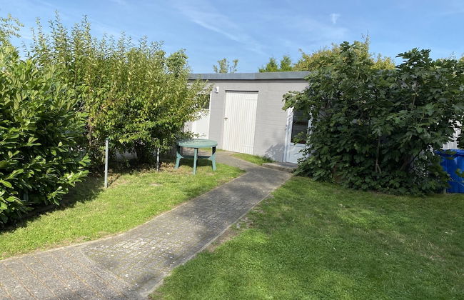 Ostseestern - Foto 21