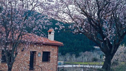 Casas Rurales La Loma - Foto 3