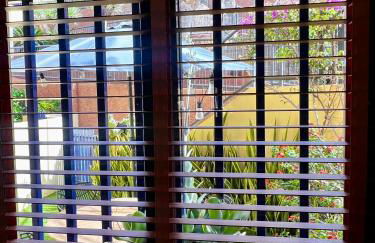 Meloneras ideal - Foto 20