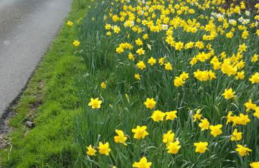 Lletty Ann wynn at Fraithwen Cottages - Foto 22