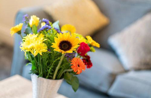 Ferry Nice - Foto 24