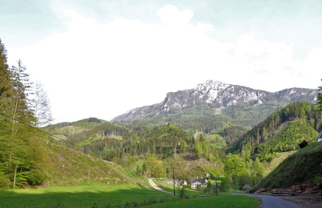 Krechen Alm - Foto 35