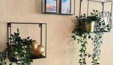 Brücke26 Stadthaus mit Dachterrasse - Foto 5