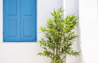 Villa Euphrosyne - Photo 43