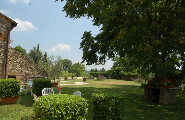 Podere Agrituristico Luchiano - Foto 24