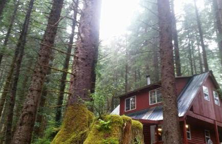 Charming A-Frame Cabin Rental on Prince of Wales Island in Hollis, Alaska - Foto 23