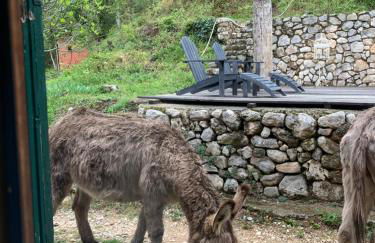 Mymoustiers - Foto 29