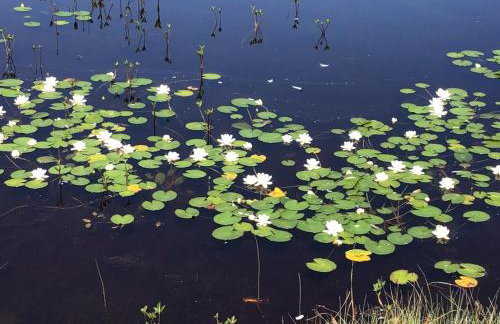 5a Plantation Road - Foto 25