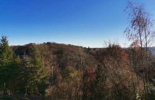 Fewo in Monschau - Foto 24