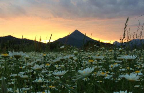 Comfort apartment with garage Aria - Foto 58