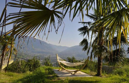 Ferienwohnungen Niederhof - Photo 25