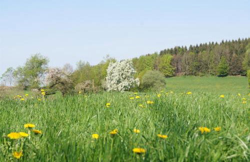 Ferienwohnung im Obstgarten - Foto 42