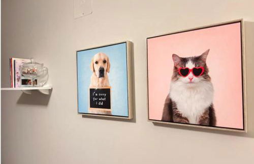 Studio Novo em Uberlândia - Foto 16