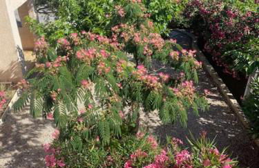 Residence Motel Corsicana - Foto 73