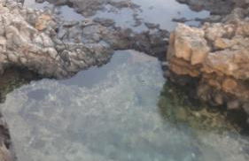 Apartamento La Caleta El Hierro Island terrace with incredible views - Foto 33