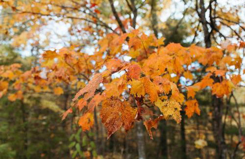 "Cozy Dumplin" - Warm & Modern Stay in RRG/Auxier - Foto 7