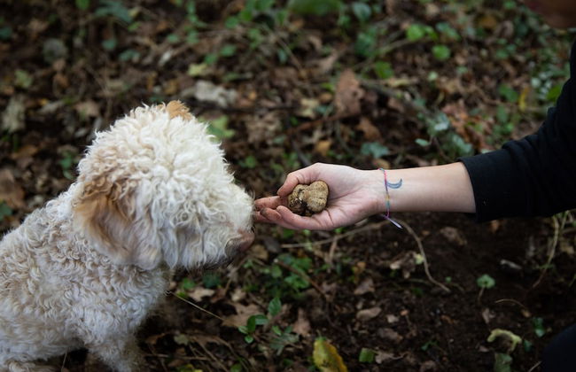Agriturismo Ca' del Re - Foto 60
