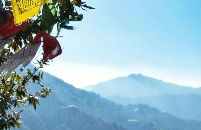 Hathipaon, George Everest House & Doon Valley - Photo 1