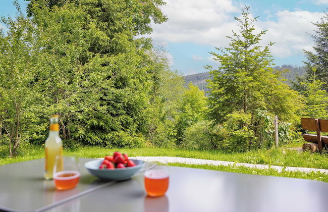 Titisee Haus an der Sonne by Kuckucksnester - Foto 38