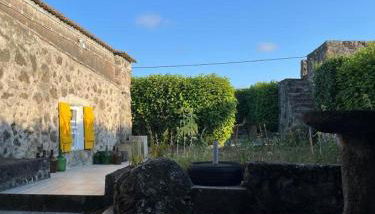 O Pomar do Gasparinho - Foto 4, Garden