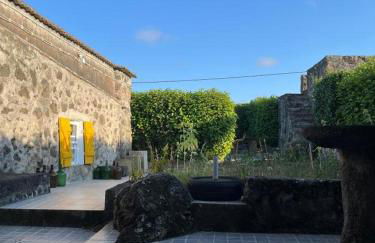 O Pomar do Gasparinho - Foto 4