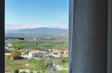 Casa Machado - Foto 37