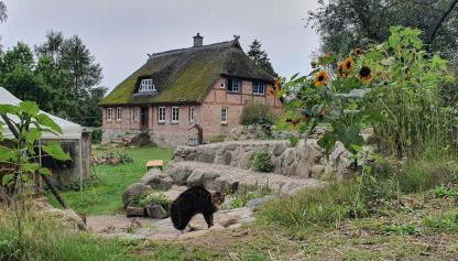 Ferienhaus Hermann, Nähe Binz in traumhafter Alleinlage - Foto 3, Garden