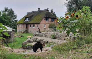 Apartment Kliemkiker, Nähe Binz in traumhafter Alleinlage - Foto 12