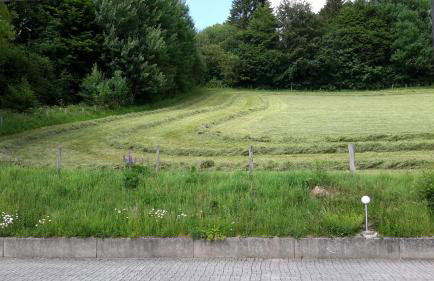 Niedersfeld Polzweg - Foto 10