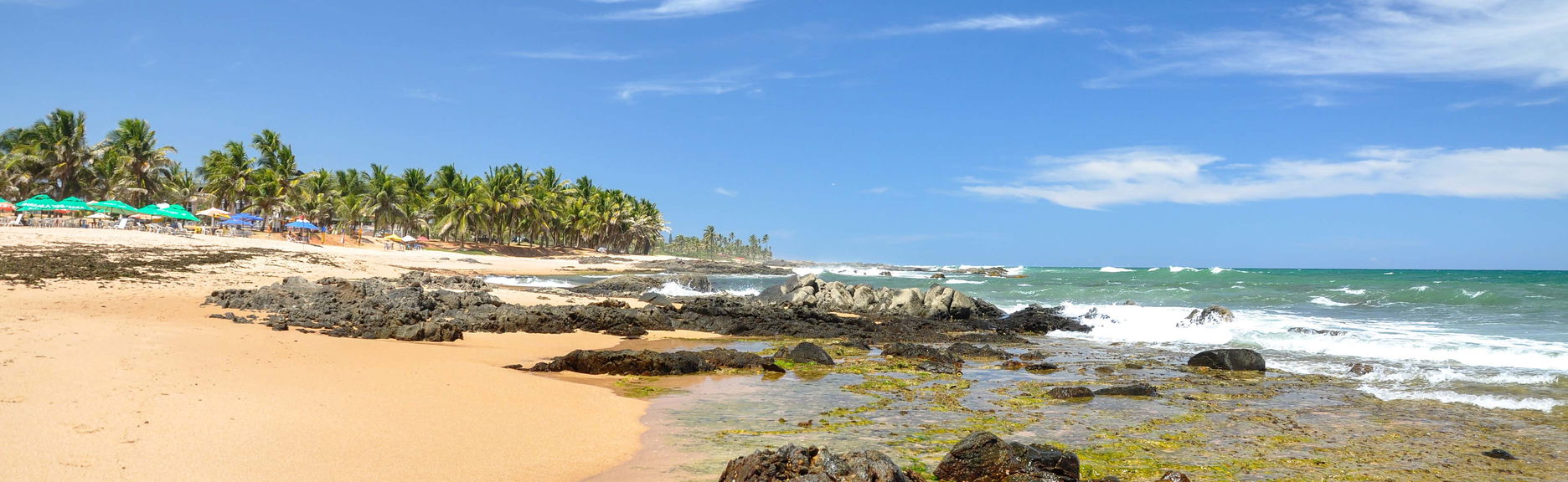 Excursión a Praia do Forte y Guarajuba