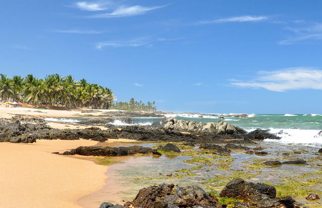 Excursión a Praia do Forte y Guarajuba - Foto 1
