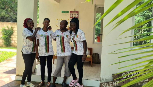 Silent Palms - Foto 2, Recepción