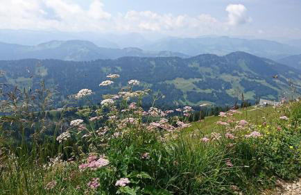 Ferienhof Schöngarten, Sonja & Stefan Büchele GbR - Foto 11