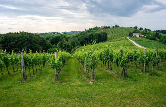Ladybug House With Whirlpool - Foto 22