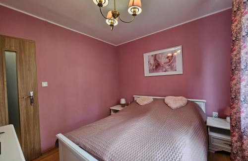 3 pokoje koło Parku przy Żwirki - Photo 3