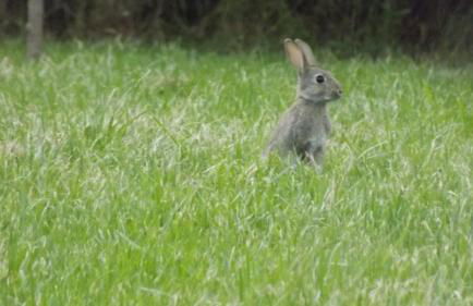 Gite La Baraque - Photo 23