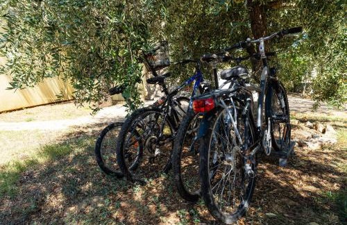 MY DALMATIA - Holiday home Olive Garden with private swimming pool - Photo 24