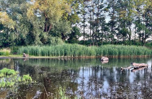 TelmiHome Brüggen, moderne Ferienwohnung mit Sonnenterrasse & Glasfaser-WLAN - Foto 19