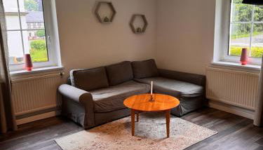 Ellis-Ferienwohnung-Erzgebirge - Foto 3