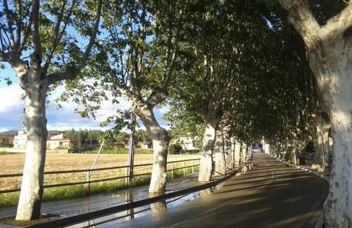 Casa Rural Can Coll - Foto 43