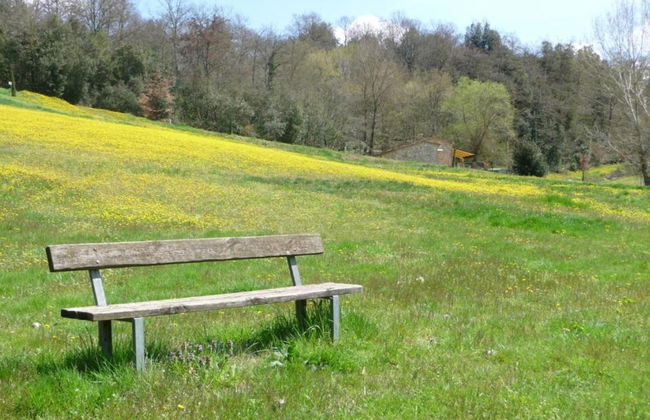 Montalceto Tuscan Nest - Foto 36