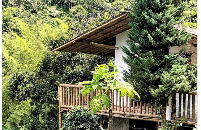 Cabañas arabi - Foto 11