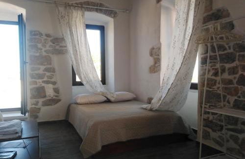 Pandera areopoli - Foto 50