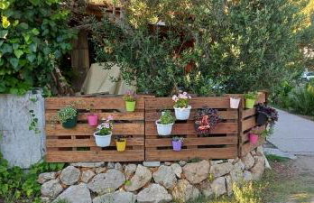 Apartmani Maslina Žuljana - Foto 3