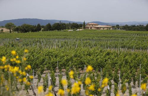 Agriturismo Poggio al Tufo - Foto 47