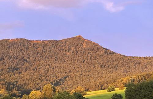 Ferienwohnung Eifler - Foto 22